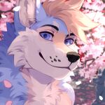  1:1 anthro black_eyebrows black_nose blue_body blue_eyes blue_fur bust_portrait canid cheek_tuft cherry_blossom cherry_blossom_tree cherry_tree chest_tuft closed_smile corzh77 eyebrows facial_tuft fruit_tree fur glistening glistening_eyes hair hi_res looking_at_viewer male mammal mouth_closed orange_body orange_fur orange_hair plant portrait sculpture slight_smile solo statue tree tuft white_body white_fur 