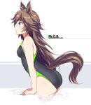  1girl ahoge alternate_costume animal_ears black_one-piece_swimsuit breasts brown_hair character_name commentary_request cowboy_shot ear_ornament from_side hair_ornament hairclip horse_ears horse_girl horse_tail long_hair medium_breasts mr._c.b._(umamusume) one-piece_swimsuit partially_submerged shigino_sohuzi solo swimsuit tail umamusume very_long_hair water 