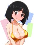  1girl bare_shoulders bikini bikini_top_only black_hair blue_background blunt_bangs blunt_ends blush bob_cut bottomless breasts brown_eyes cleavage closed_mouth collarbone commentary embarrassed full-face_blush girls_und_panzer gogopaint gold_bikini gotou_moyoko green_background large_breasts looking_at_viewer navel out-of-frame_censoring pink_background rectangle shiny_skin short_hair solo sweatdrop swimsuit upper_body v_arms wavy_mouth white_background 