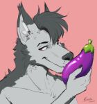  anthro canid canine canis domestic_dog eggplant food fruit fur fuzziness grey_body grey_fur hi_res husky itsjim itsjimmm jim_(itsjim) kissing male mammal nordic_sled_dog plant spitz 