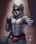  2023 abs anthro black_nose bodily_fluids bulge canid canine clothing gloves green_eyes handwear inner_ear_fluff male mammal nipples pecs shirtless_male solo solo_focus spyzslair sweat sweatdrop tail tuft watermark wrestler wrestling_briefs 