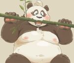  2023 anthro bamboo bear belly big_belly black_body black_nose blush crave_saga eating garouzuki giant_panda hi_res kemono male mammal moobs navel nipples overweight overweight_male shaoren_(crave_saga) solo white_body 
