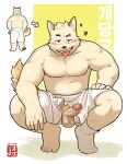 anthro asian_clothing balls blush canid canine clothing east_asian_clothing erection genitals hi_res humanoid_genitalia humanoid_penis jeck korean_clothing looking_at_viewer male mammal penis 