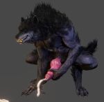  3d_(artwork) 4_toes animal_genitalia animal_penis anthro black_body black_fur black_nose bodily_fluids canid canine canine_genitalia canine_penis canis claws cum cumshot digital_media_(artwork) ejaculation eyes_closed fangs feet fur genital_fluids genitals grey_background hi_res ictonica knot male mammal masturbation orgasm penis pink_penis simple_background solo teeth toes were werecanid werecanine werewolf wolf 