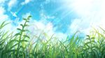  blue_sky cloud cloudy_sky day grass highres landscape lens_flare light_rays nature no_humans oka_kojiro original outdoors plant rain scenery sky sun 