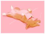  canid canine canis collar cowboy_bebop domestic_dog ein_(cowboy_bebop) eyes_closed herding_dog male mammal on_ground pastoral_dog red_collar simple_background sky_x_space sleeping solo welsh_corgi 