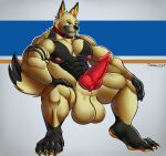  animal_genitalia animal_penis anthro anubian_jackal balls big_balls big_muscles canid canine canine_genitalia canine_penis canis character_solarum cocky cocky_pose erection genitals hi_res huge_muscles hyper hyper_muscles jackal male male/male mammal markings muscular muscular_male osahar_cat paws penis pose smile smirk solarum solo throbbing unknown_artist 