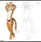  anthro black_and_white bulge clothed clothing dyson_(eldiman) eldiman felid hi_res male mammal monochrome pantherine simple_background solo tiger topless underwear white_background young 