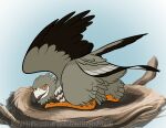  avian beak bent_legs bird brooding disney feathers female harrier_(bird) moisteaglevent mpishi raised_wings solo tail_feathers the_lion_guard the_lion_king wings 