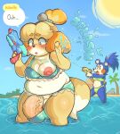  2023 accessory animal_crossing anthro areola balls barely_visible_balls barely_visible_genitalia bell big_bulge big_penis blonde_hair blue_body blue_clothing blue_fur blue_hair blue_swimwear blush breasts building bulge canid canine canis character_name cheek_spots cleavage clothed clothing clothing_aside crossgender deep_navel detailed_background dialogue dipstick_tail domestic_dog duo embarrassed english_text eulipotyphlan exposed eyebrow_through_hair eyebrows floppy_ears floral_print ftg_crossgender fti_crossgender fur genitals green_clothing green_swimwear gynomorph hair hair_accessory hair_tie hedgehog hi_res house humanoid_genitalia humanoid_penis intersex isabelle_(animal_crossing) lilbunpinky mabel_able mammal markings navel neck_tuft nintendo nipples one_eye_closed open_mouth overweight overweight_gynomorph overweight_intersex palm_tree partially_submerged penis pink_areola pink_nipples plant ponytail round_ears shih_tzu signature slightly_chubby sound_effects speech_bubble standing swimwear swimwear_aside tail tail_markings text tongue toy toy_dog toy_gun translucent translucent_hair tree tuft vein veiny_penis wardrobe_malfunction water_gun white_body white_fur yellow_body yellow_fur 
