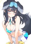  1girl animal_ears black_hair blue_archive blue_eyes blush breasts cheerleader crop_top dog_ears dog_tail goggles goggles_on_head halo hibiki_(blue_archive) hibiki_(cheer_squad)_(blue_archive) highres holding holding_pom_poms long_hair looking_at_viewer medium_breasts parted_lips pleated_skirt pom_pom_(cheerleading) ponytail simple_background skirt solo tail white_background zarashi 