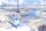  1girl blue_dress blue_flower blue_hair blue_sky cloud dannychuchi dress field flower full_body grass hair_flower hair_ornament hair_over_one_eye highres isekai_joucho kamitsubaki_studio long_hair long_sleeves looking_at_viewer mountainous_horizon multicolored_hair nature outdoors pantyhose parted_lips petals sky solo two-tone_dress two-tone_hair virtual_youtuber white_dress white_hair white_pantyhose 