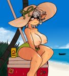  animal_humanoid areola beach big_breasts breasts cephalopod cephalopod_humanoid clothed clothing ear_piercing ear_ring facial_markings female green_clothing green_swimwear grey_hair hair hat head_markings headgear headwear huge_breasts humanoid humanoid_pointy_ears inkling looking_at_viewer marie_(splatoon) marine marine_humanoid markings medlinss mollusk mollusk_humanoid navel nintendo nipples piercing pink_areola pink_nipples pseudo_hair pupils ring_piercing sea seaside sitting sky solo splatoon sun_hat swimwear tan_body tan_skin tentacle_hair tentacles thick_thighs topless unusual_pupils water wet wide_hips yellow_eyes 