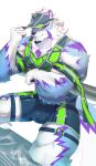  absurd_res anthro blue_eyes bulge clothing fur hat headgear headwear hi_res lifewonders live_a_hero male multicolored_body multicolored_fur muscular muscular_anthro muscular_male pecs sadayoshi sanjin3jin solo visor_cap wetsuit 