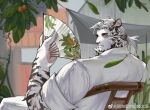  1boy animal_print arknights bara chair chinese_commentary cropped falling_leaves fang folding_fan food fruit furry furry_male hand_fan highres holding holding_fan leaf looking_at_viewer male_focus mountain_(arknights) multiple_scars ponytail scar scar_across_eye scar_on_arm sitting solo tail tiger_boy tiger_print tiger_tail weibo_logo weibo_username wooden_chair yingou_li_de_wenyi_zhi_yuan 