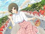  1girl basket blue_sky blush breasts brown_eyes brown_hair bug butterfly buttons cloud day flower food frilled_shirt frilled_skirt frills fruit garden greenhouse holding holding_basket holding_food holding_fruit indoors large_breasts leaf looking_at_viewer mai_(senran_kagura) official_alternate_costume official_art open_mouth plaid plaid_skirt plant senran_kagura senran_kagura_new_link senran_kagura_new_wave shiny_skin shirt short_hair skirt sky smile solo standing strawberry strawberry_blossoms strawberry_plant sunlight tongue underbust white_flower wooden_floor yaegashi_nan yellow_butterfly 