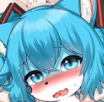  &lt;3 2023 alternate_species anthro blush bodily_fluids cropped cute_fangs digital_media_(artwork) domestic_cat felid feline felis female female_anthro fur furrification hair hatsune_miku horokusa0519 kemono looking_at_viewer mammal open_mouth saliva solo sweat sweatdrop tongue twintails_(hairstyle) vocaloid 