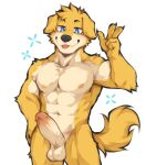  abs anthro balls canid canine canis casual_erection casual_nudity domestic_dog erection flunky fur genitals hi_res humanoid_genitalia humanoid_hands humanoid_penis male mammal muscular muscular_anthro muscular_male navel nipples nude pecs penis simple_background solo solo_focus tail 
