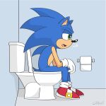  bathroom eulipotyphlan hedgehog hi_res implied_pee implied_scat male mammal mister-survocado relieved sega sighing sitting sonic_the_hedgehog sonic_the_hedgehog_(series) toilet toilet_paper toilet_use 