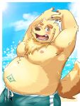  anthro belly belly_markings bird_dog blush bottomwear canid canine canis clothing cu_sith_(tas) domestic_dog fur golden_retriever hi_res hunting_dog itatuki_78 lifewonders male mammal markings navel one_eye_closed overweight retriever sea shirtless shorts solo swimwear tokyo_afterschool_summoners water wink yellow_body yellow_fur 