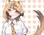  1girl :3 a888_n22 blonde_hair blush brown_hair cheetah_(kemono_friends) cheetah_ears cheetah_girl cheetah_print cheetah_tail collared_shirt extra_ears kemono_friends long_hair looking_at_viewer multicolored_hair necktie print_necktie shirt short_sleeves solo t-shirt upper_body white_shirt yellow_eyes 