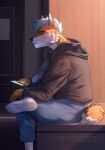  anthro black_nose blue_eyes blue_hair bottomwear canid canine clothed clothing denim denim_clothing digital_media_(artwork) door footwear fur hair hi_res hoodie inside jeans kombat300 male mammal mouth_closed pants phone phone_screen short_tail sitting socks solo tail topwear white_body yellow_body yellow_fur 