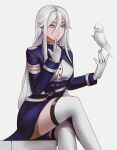  1girl 86_-eightysix- absurdres belt bird bird_on_hand breasts closed_mouth crossed_legs gloves hair_between_eyes hands_up highres long_hair long_sleeves looking_at_animal military_uniform notgustiarp o-ring o-ring_belt parrot purple_eyes sidelocks simple_background solo straight_hair thighhighs uniform very_long_hair vladilena_millize white_background white_belt white_gloves white_hair white_thighhighs zettai_ryouiki 