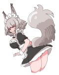  1girl alternate_costume animal_ears apron arknights ashlock_(arknights) ass black_dress blush breasts commentary cropped_legs dress embarrassed enmaided grey_eyes grey_hair large_breasts looking_at_viewer looking_back maid maid_headdress nikukabe oripathy_lesion_(arknights) short_hair simple_background solo squirrel_ears squirrel_girl squirrel_tail sweat tail waist_apron white_apron white_background white_wrist_cuffs 