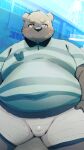  2023 anthro balls_outline band-aid bandage bear belly big_belly black_nose blush bottomwear bulge clothing genital_outline hi_res kemono male mammal menmen_kesinn overweight overweight_male shirt shorts solo topwear 