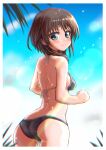  1girl alice_gear_aegis ass back bare_arms bare_shoulders bikini black_bikini blue_eyes blurry blurry_foreground border breasts brown_hair closed_mouth cloud cowboy_shot day from_behind from_side fuyumaaru hair_over_shoulder highres kurogane_yuuto light_blush looking_at_viewer looking_back medium_hair outdoors plant sideboob sky small_breasts smile solo strap_gap string_bikini swimsuit white_border 