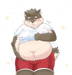 anthro belly blush bottomwear brown_body brown_fur canid canine canis clothed clothing clothing_lift domestic_dog eyebrows fur hi_res lifewonders male mammal moritaka navel overweight scar shirt shirt_lift shorts solo thick_eyebrows tokyo_afterschool_summoners topwear toyaaaa_chub 