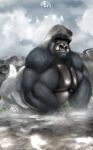  absurd_res anthro ape autofurrart big_muscles blue_eyes feral fur gorilla grey_hair hair haplorhine hi_res huge_muscles landscape male mammal muscular nature primate realistic river rock silverback_gorilla solo tusks water waterfall zubr 