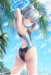  1girl animal_ear_fluff animal_ears ass black_one-piece_swimsuit blue_archive blue_eyes blue_sky breasts c.u.wa cloud competition_swimsuit covered_navel cowboy_shot cross_hair_ornament day extra_ears from_behind grey_hair hair_ornament halo highres looking_at_viewer looking_back low_ponytail medium_breasts medium_hair mismatched_pupils multicolored_clothes multicolored_swimsuit official_alternate_costume one-piece_swimsuit outdoors palm_tree shiroko_(blue_archive) shiroko_(swimsuit)_(blue_archive) sky solo swimsuit tree twisted_torso wolf_ears 