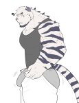  1boy absurdres animal_ears arknights artist_request ass bara black_tank_top bulge dressing facial_hair flat_color furry furry_male goatee grey_male_underwear highres i&#039;ve_never_seen_a_guy_recreate_this_successfully_tbh_(meme) male_focus male_underwear meme motion_lines mountain_(arknights) muscular muscular_male open_pants pants pants_lift pectorals scar scar_across_eye scar_on_arm short_hair solo squiggle tank_top thick_eyebrows thick_thighs thighs tiger_boy tiger_ears undersized_clothes underwear white_hair 