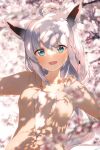  1girl ahoge animal_ear_fluff animal_ears blurry blurry_background blurry_foreground blush braid breasts cherry_blossoms commentary_request earrings fox_ears fox_girl green_eyes hair_between_eyes highres hololive hood hoodie jewelry long_hair looking_at_viewer open_mouth outstretched_arms shirai_yu shirakami_fubuki shirt sidelocks single_braid small_breasts solo virtual_youtuber white_hair white_shirt yellow_hoodie 