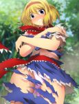  1girl alice_margatroid blonde_hair blue_dress blue_eyes blurry blurry_background blush commentary_request covering covering_breasts cowboy_shot crotch_seam day depth_of_field dress embarrassed forest frown grimace hairband looking_at_viewer nature neck_ribbon open_mouth outdoors panties red_hairband red_ribbon red_sash ribbon sash short_hair solo standing torn_clothes touhou underwear white_panties yadokari_genpachirou 
