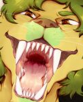  anthro bodily_fluids brown_eyes brown_nose brown_pupils felid front_view fur green_body green_fur green_hair hair hi_res lion lionfloof looking_at_viewer male mammal mouth_shot open_mouth pantherine pupils red_tongue saliva saliva_string sharp_teeth solo teeth tongue whiskers yellow_body yellow_fur 
