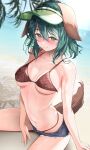  1girl 258n absurdres animal_ears beach bikini black_shorts breasts brown_bikini closed_mouth collarbone denim denim_shorts dog_ears dog_tail fingernails green_eyes green_hair hair_between_eyes highres kasodani_kyouko long_hair medium_breasts ocean outdoors short_shorts shorts sitting smile solo swimsuit tail touhou wet 