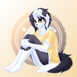  anthro black_body black_ears black_fur black_hair black_tail blush border_collie bottomless canid canine canis clothed clothing collie domestic_dog female floppy_ears fluffy fluffy_hinu fluffy_tail fur hair herding_dog hi_res mammal multicolored_body multicolored_fur multicolored_hair pastoral_dog sheepdog solo tail two_tone_body two_tone_fur two_tone_hair white_body white_fur white_hair white_tail yellow_clothing yellow_eyes 