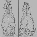  1:1 anonymous_artist big_butt butt butt_crush canid canine crush duo equid equine feral flattened hi_res horse larger_feral looking_at_viewer looking_back mammal monochrome pawpads paws sitting sitting_on_another size_difference struggling 