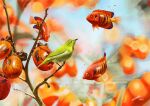  absurdres angelfish animal_focus autumn bird branch bubble dated fish food fruit highres japanese_white-eye no_humans original persimmon signature surreal tainosuke tropical_fish 