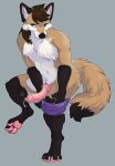  anatomically_correct anatomically_correct_genitalia anatomically_correct_penis anthro bodily_fluids canid canine clothing fluffy fox genital_fluids genitals hair hi_res knot male mammal penis ponytail precum serialdad solo taking_off_pants undressing 