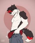  anthro border_collie bottomwear bottomwear_down boxers_(clothing) bulge canid canine canis cheitan clothed clothing collie domestic_dog dominant dominant_male hair herding_dog hi_res humanoid kazon(yoichi) male mammal pants pants_down partially_clothed pastoral_dog piercing pinup pose red_hair sheepdog underwear 