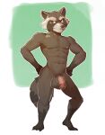  2023 abs anthro balls brown_body brown_fur fur genitals guardians_of_the_galaxy hi_res humanoid_genitalia humanoid_penis jrjresq looking_away male mammal marvel nude penis pink_penis procyonid raccoon rocket_raccoon solo striped_body striped_fur stripes 