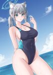 1girl absurdres animal_ear_fluff animal_ears black_one-piece_swimsuit blue_archive blue_eyes blue_sky breasts cleavage cloud competition_swimsuit contrapposto covered_navel cowboy_shot cross_hair_ornament day english_commentary extra_ears grey_hair hair_ornament halo highleg highleg_swimsuit highres horizon large_breasts looking_at_viewer low_ponytail medium_hair mismatched_pupils multicolored_clothes multicolored_swimsuit ocean one-piece_swimsuit outdoors parted_lips razrafz shiroko_(blue_archive) shiroko_(swimsuit)_(blue_archive) sky solo swimsuit wolf_ears 