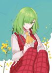  1girl ascot collared_shirt flower green_eyes green_hair green_umbrella hair_over_one_eye highres holding holding_umbrella kazami_yuuka kazami_yuuka_(pc-98) long_sleeves looking_at_viewer open_clothes pants plaid plaid_pants plaid_vest red_pants red_vest shirt short_hair solo tohoyuukarin touhou touhou_(pc-98) umbrella vest yellow_ascot yellow_flower 