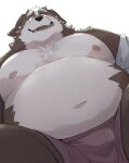  2023 anthro belly big_belly black_nose brown_body bulge canid canine canis clothing domestic_dog hi_res kemono male mammal moobs navel nipples noctnoc overweight overweight_male simple_background solo underwear white_background 