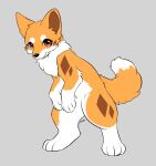  2023 ambiguous_gender black_nose brown_body brown_fur brown_inner_ear canid canine canis countershading digital_media_(artwork) dipstick_tail domestic_dog feral fluffy fluffy_tail fur hi_res kitsuneinu mammal markings multicolored_body multicolored_fur on_hind_legs orange_body orange_fur prick_ears quadruped red_eyes semi-anthro signature simple_background solo tail tail_markings tsukune_minaga white_body white_fur 