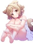  1girl animal_ear_fluff animal_ears barefoot braid brown_eyes brown_hair collar dog_ears dog_girl dog_tail dress feet head_tilt highres hugging_own_legs kisukekun knees_to_chest knees_up legs looking_at_viewer original short_dress short_hair sitting soles solo strap_slip sundress tail thighs toes white_dress 