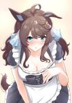  absurdres ahoge alternate_costume animal_ears apron blue_eyes breasts brown_hair cleavage collarbone commentary_request daring_tact_(umamusume) enmaided hair_ornament highres horse_ears horse_girl horse_tail looking_at_viewer maid medium_breasts medium_hair open_mouth ribbon sho_mix_illustration simple_background tail umamusume 